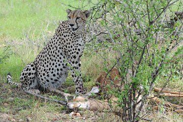 Nairobi Private 9-Day Tour Experience