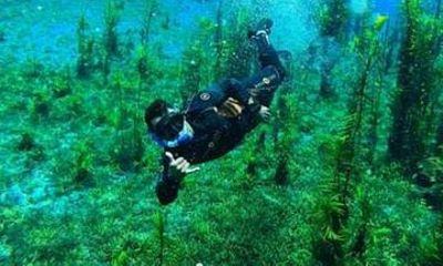 Beautiful : Snorkeling at the Blue River Fervedouro