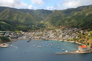 Avalon Bay Discovery Walk