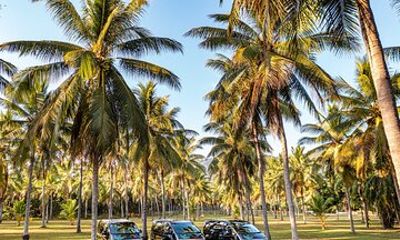 PORT DOUGLAS to HARTLEYS CROCODILES Return Trip Private Transfer
