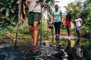 Bel Ombre Wilderness Tour Trail