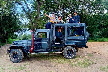 Discover Habarana Wildlife Watching Private Activity