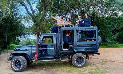 Discover Habarana Wildlife Watching Private Activity