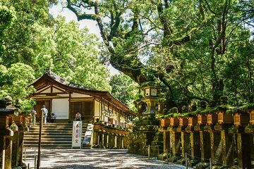 Private Small Tour in Hakone Kanagawa