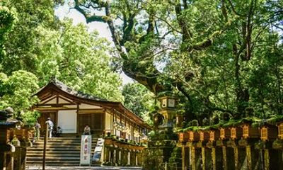 Private Small Tour in Hakone Kanagawa