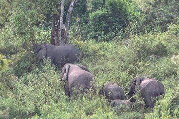 3 Day Private Chebera Churchura Safari from Addis Ababa