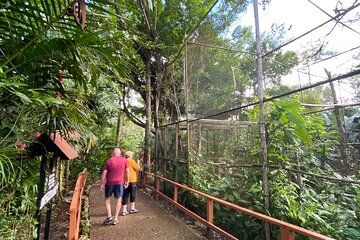 Guided Belize Zoo, Rum factory & Belize City tour