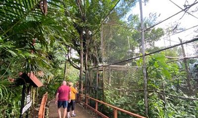 Guided Belize Zoo, Rum factory & Belize City tour