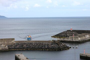 From Sea to Volcano, Rabo de Peixe and Gruta do Carvao Tour