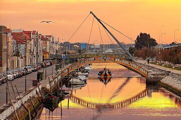 Private Full-Day Tour Coimbra and Aveiro Highlights