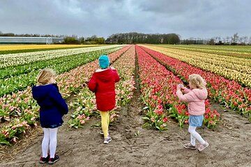 Half Day Private Tour Keukenhof Tulips and Beach