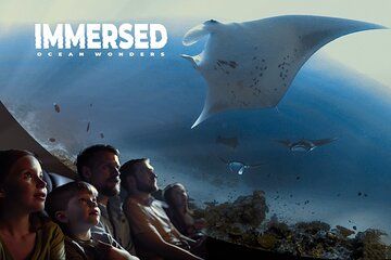Ocean Wonders: An Immersive Ocean Movie Experience