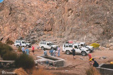 Desert Star Gazing Tour with Camel Ride and Dinner in Marsa Alam