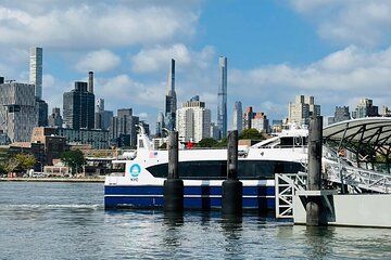 Astoria Queens Ferry and Mini Bus Shared Tour