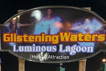Luminous Lagoon Night Tour from Montego Bay