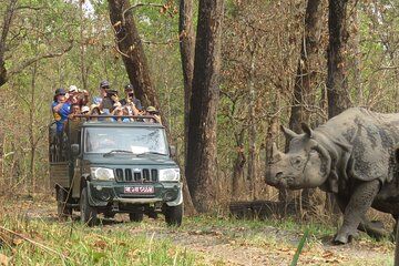 10 Days Nepal Birding and Safari Trip Starting in Kathmandu