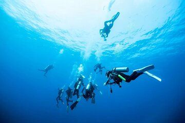 Certified Scuba Diving in the Red Sea Jeddah Resort Dive