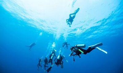 Certified Scuba Diving in the Red Sea Jeddah Resort Dive