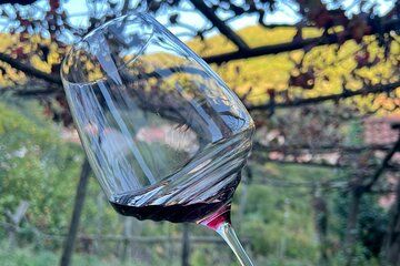 From Salerno: Amalfi Coast Private Tour with Lunch & Wine Pairing