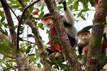 Private Da Nang Highlights Marble Mountain and Monkey Mountain