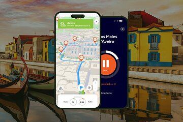 Aveiro Audio Guided Walking Tour 2h30 and 20 reviews