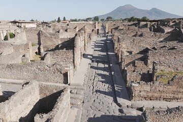Pompeii and Herculaneum Guided Tour of Archaeological Sites