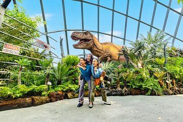 Gardens by the Bay: Cloud Forest + Flower Dome + Floral Fantasy