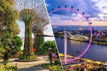 Gardens by the Bay + Singapore Flyer Tickets