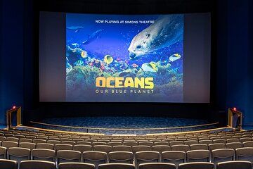 Simons Theatre at the New England Aquarium Ticket