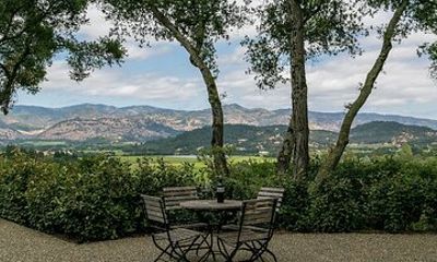 Luxury Sedan and SUV Wine Tour in Napa and Sonoma Valley
