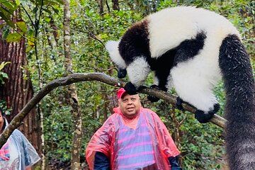 2 Day Madagascar Wildlife Adventure