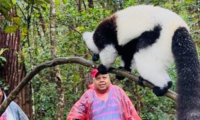 2 Day Madagascar Wildlife Adventure