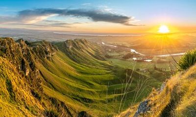 Napier Art Deco and Scenic Highlights Full Day Private Shore Tour