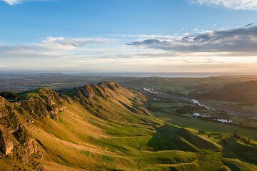 Scenic Vineyards & Te Mata Views: Napier Private Shore Tour