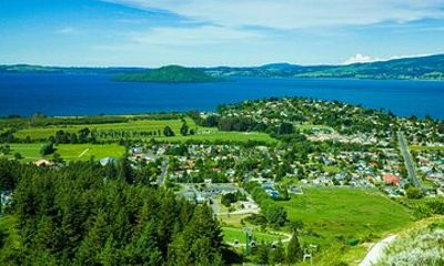 Rotorua Geothermal Wonders – 7h Private Shore Tour from Tauranga