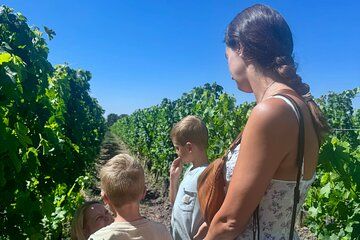 Private Family Tour in Saint-Émilion : Village and Vineyards