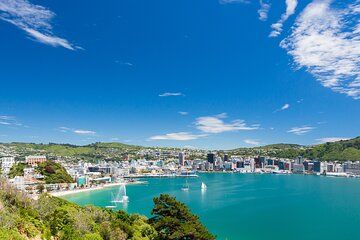 Wellington Highlights Half Day Private Shore Tour