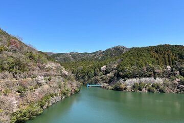 Minoo Hills E Bike Adventure Explore Osaka's Nature