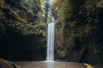 Ubud Waterfalls, Rice Terrace and Water Temple Tour