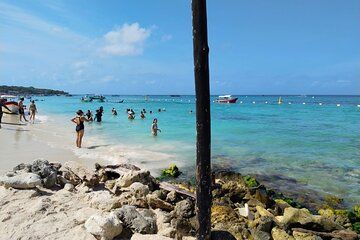 5 Islands with Plankton and Terrestrial Breakfast