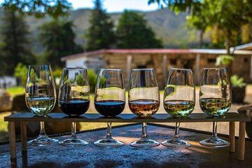 Private Waipara Wine Trail Tour from Christchurch