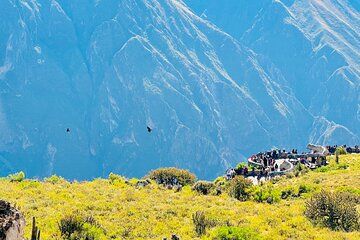 From Arequipa Hiking 2 days through the Colca Canyon