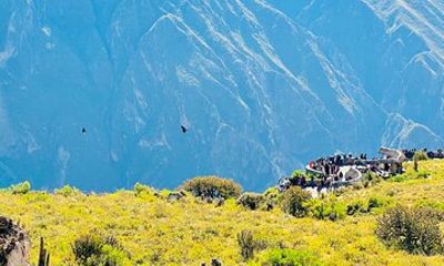 From Arequipa Hiking 2 days through the Colca Canyon