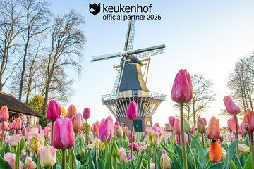 Keukenhof Day Trip from Rotterdam Cruise Terminal & City Center