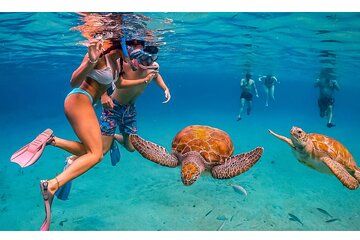 Private Half Day Snorkeling with Sea Turtles 8 People Maximum