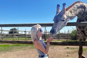 Private Luxury Aquila Big Five Safari with Giraffe House Visit