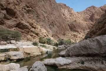 Wadi Shab Full-Day Adventure with Scenic Stops and Lunch