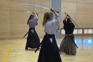 Private Samurai Tour: Discover Inuyama and Gifu Historic Heritage