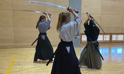 Private Samurai Tour: Discover Inuyama and Gifu Historic Heritage