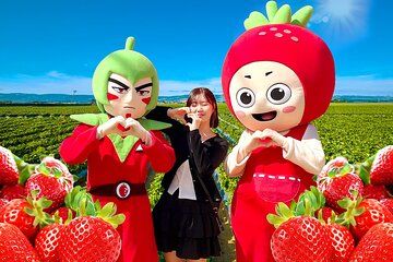 Nonsan Strawberry Festival Day Tour from Seoul